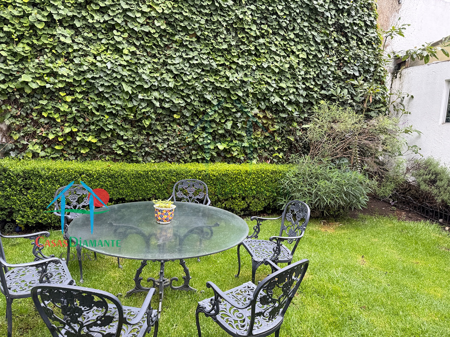 Desierto de los Leones Casa Claudia EHIB - Jardín 5